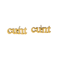 Cunt Earring Set - Metal Marvels - Bold mantras for bold women.